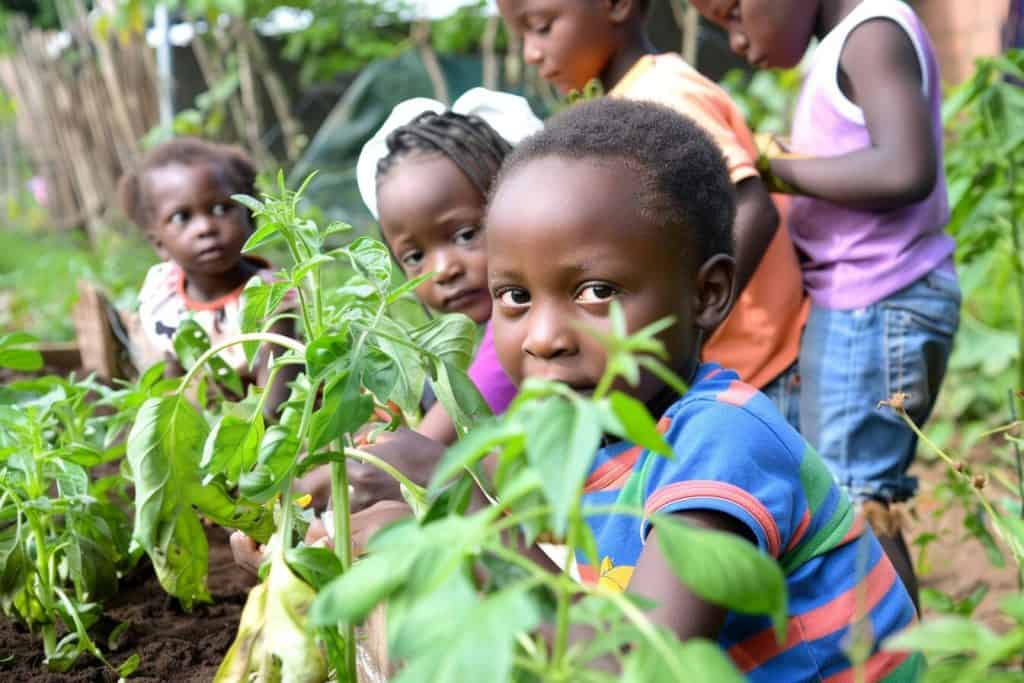 A group of children learning how to garden